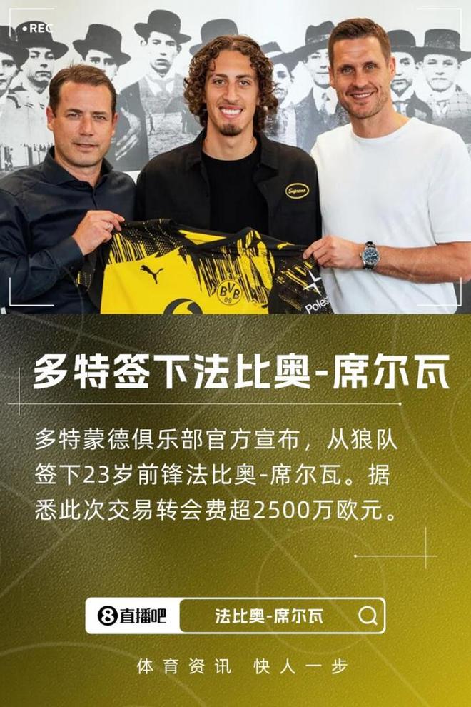 多特新援法比奧，2500萬歐加盟，球隊(duì)實(shí)力強(qiáng)，有望歐冠奪冠。