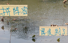 申花國安，外援國腳戰(zhàn)世預(yù)賽，陣容血拼時刻！